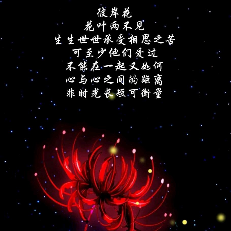 ꧁༺ཌ༈彼æ岸༈ད༻꧂