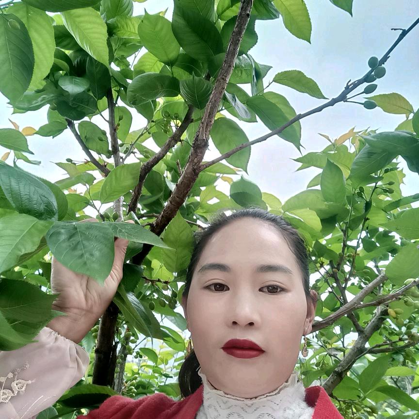 周红艳