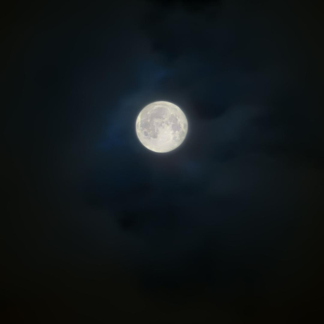 秋雨