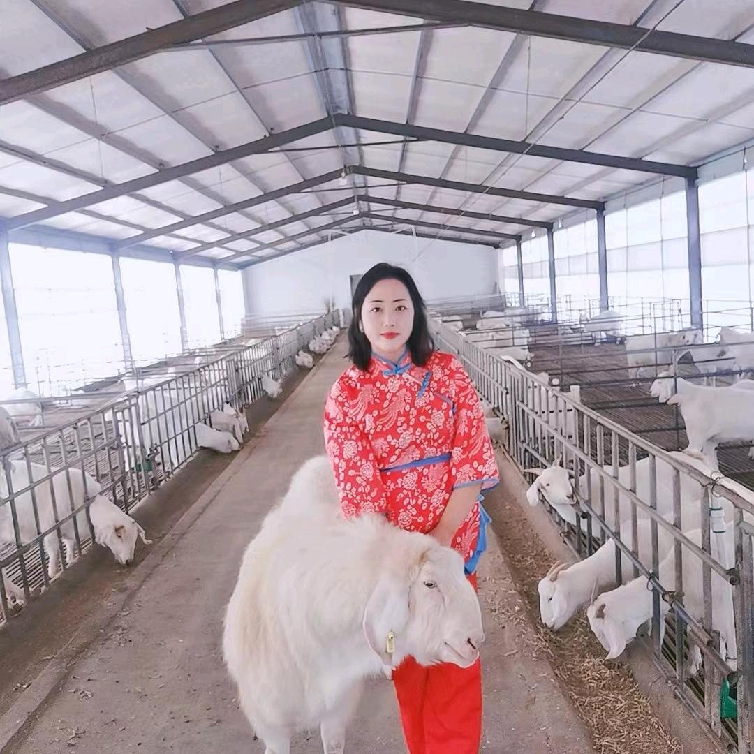 豫东牧业杨洁