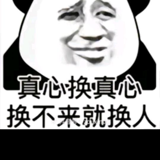 W大布牛vs  小布牛w