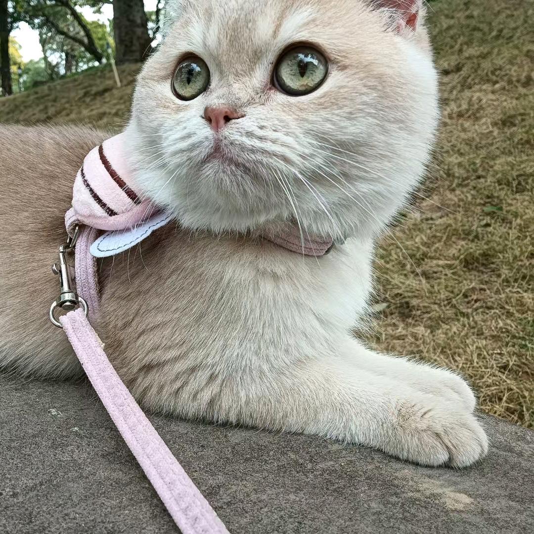 一个奋斗的人
