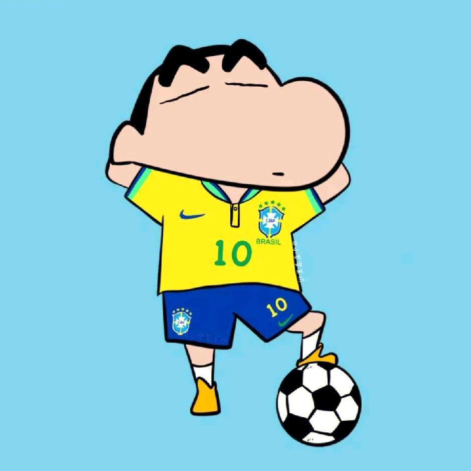 爱踢⚽的小z