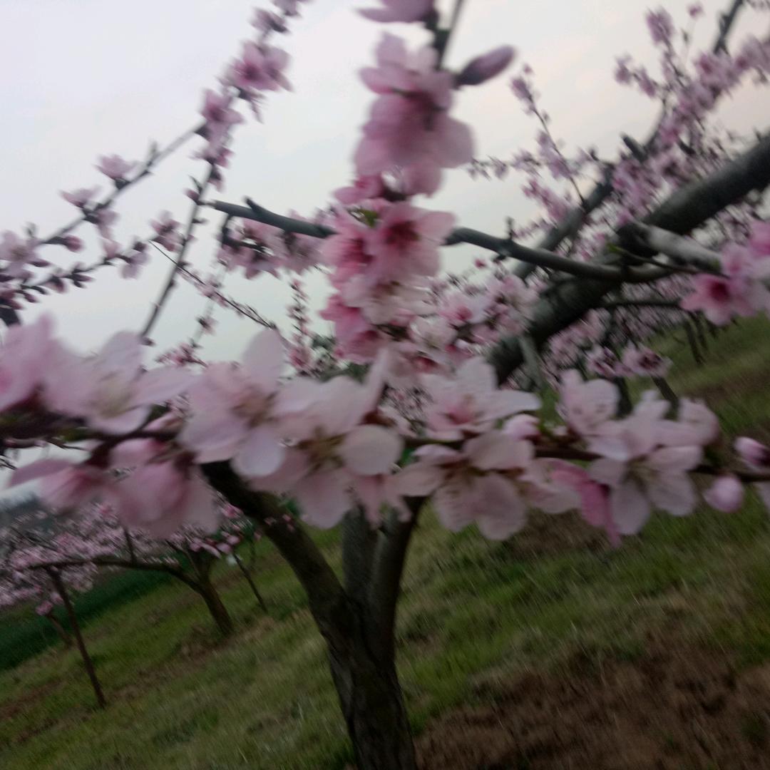 名可名