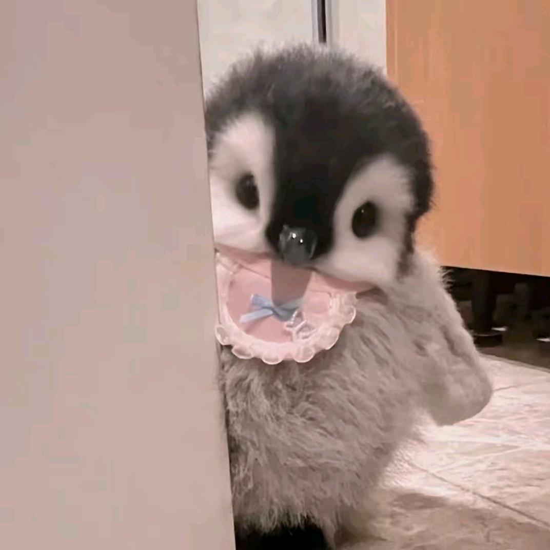 捶你