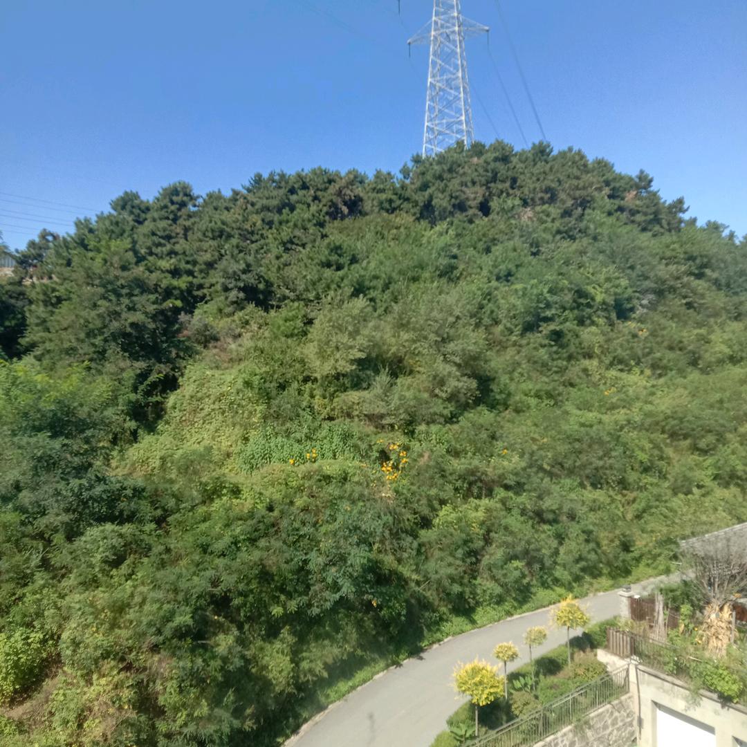 春宇