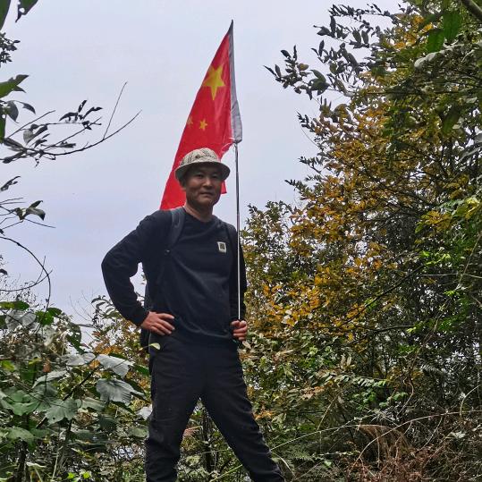 登山虎