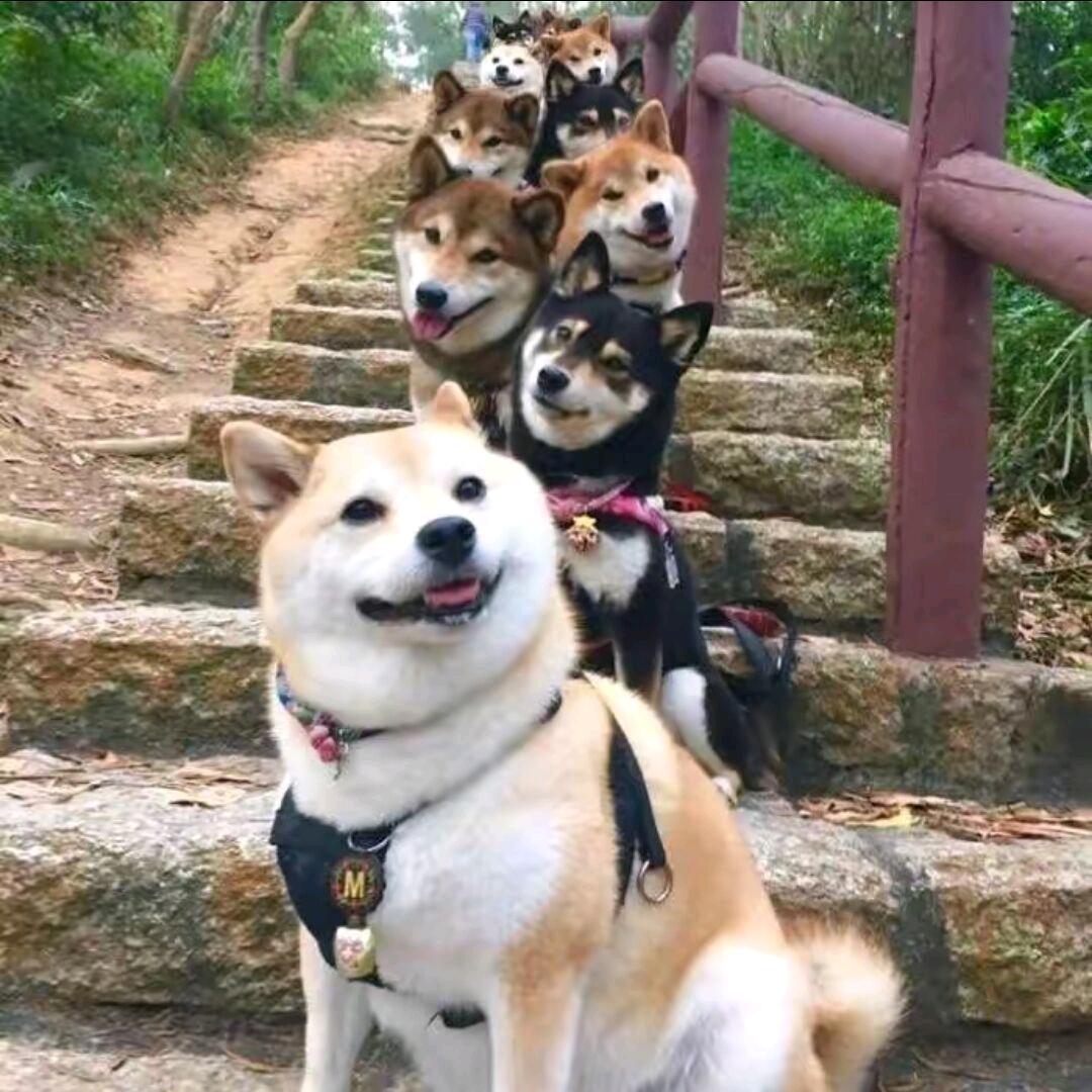 冷熙