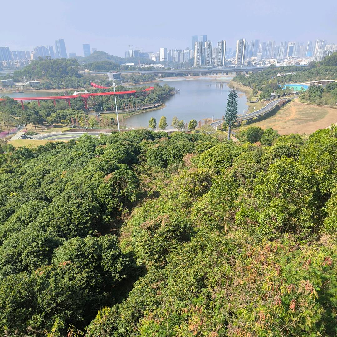 ୧₍˄·͈༝·͈˄₎୨