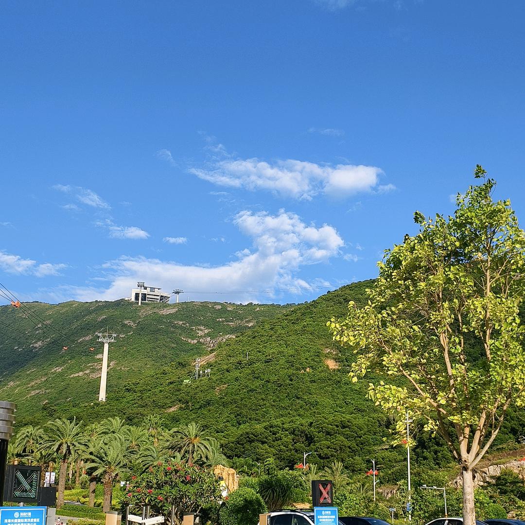 小叶子