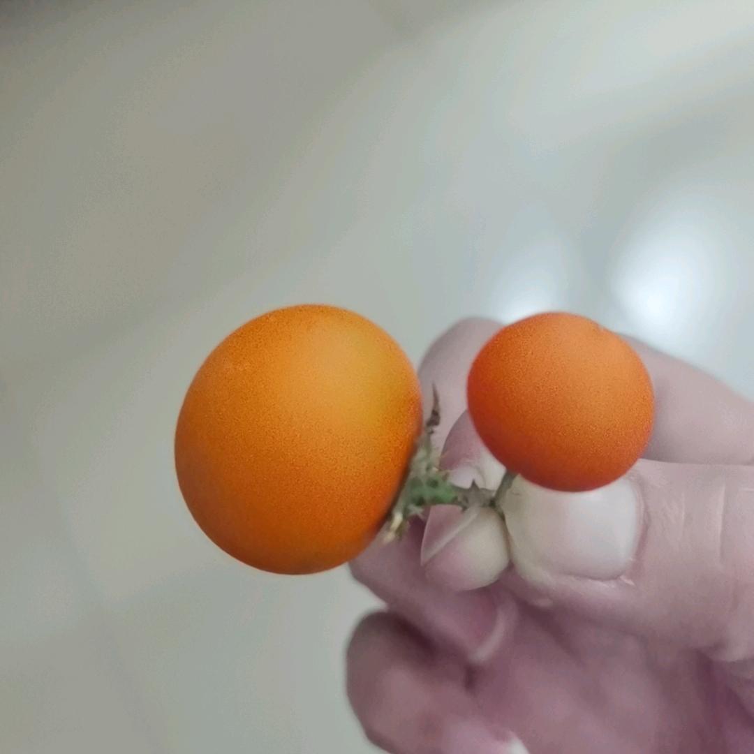 健忘的我