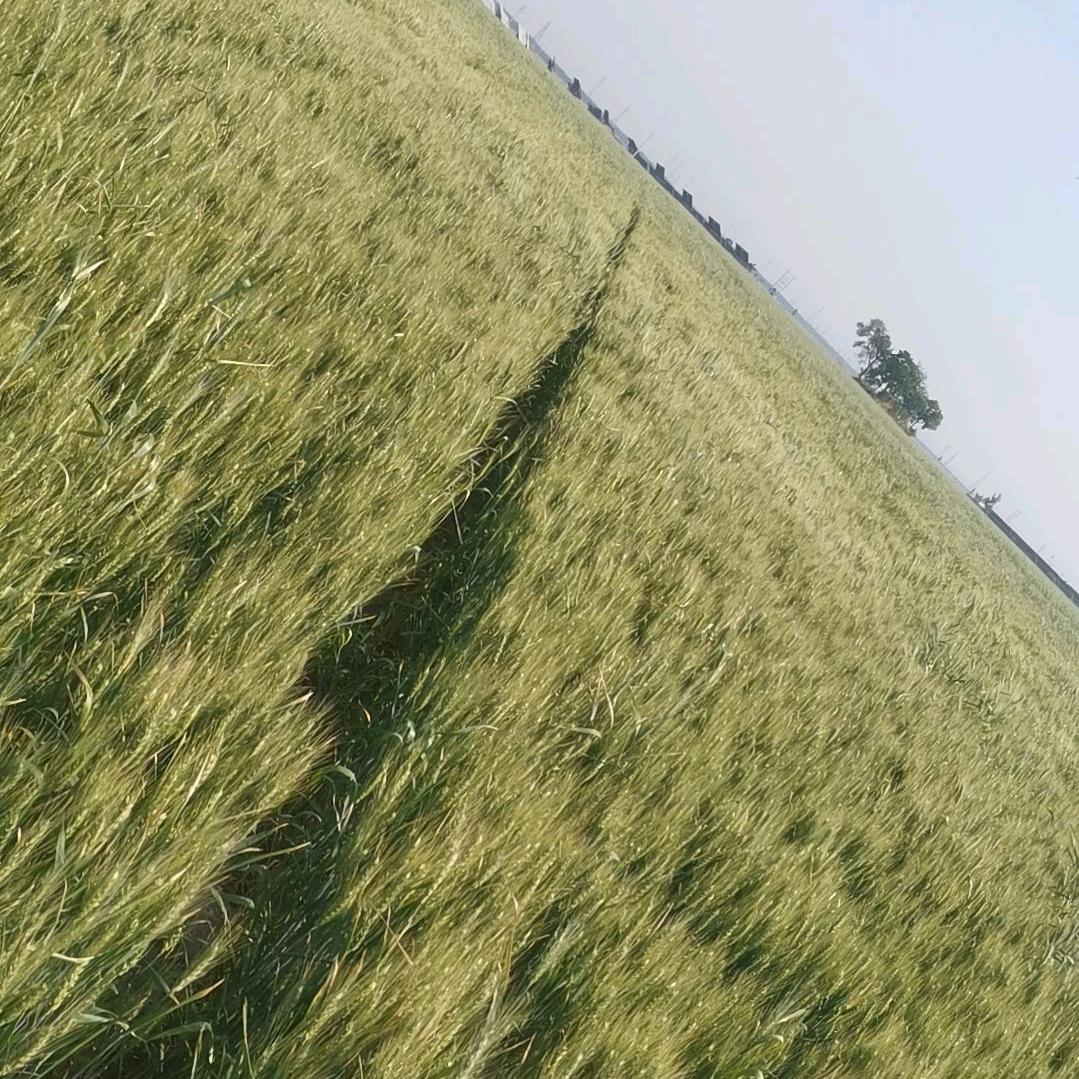 用我一生在堵我不后悔1015