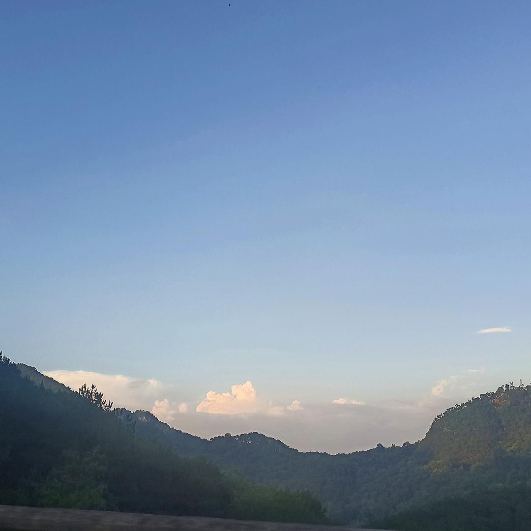 💞 汪后余生💞🌸🌸