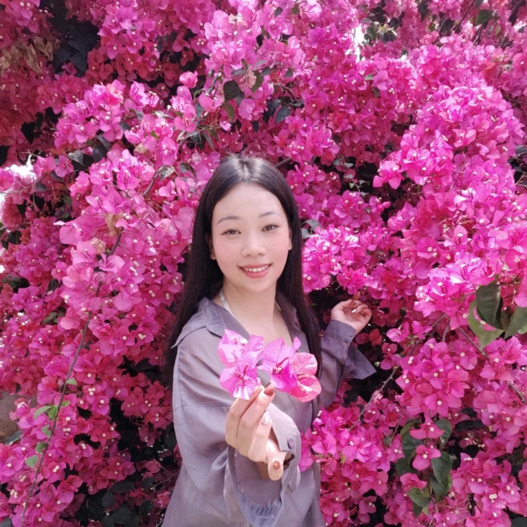 崇左阿萍妹