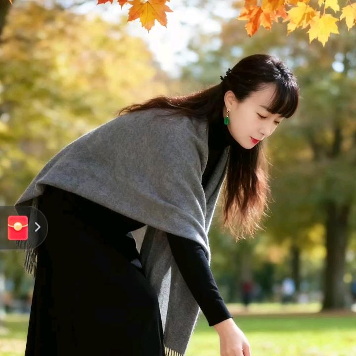 岳西高山云雾茶叶