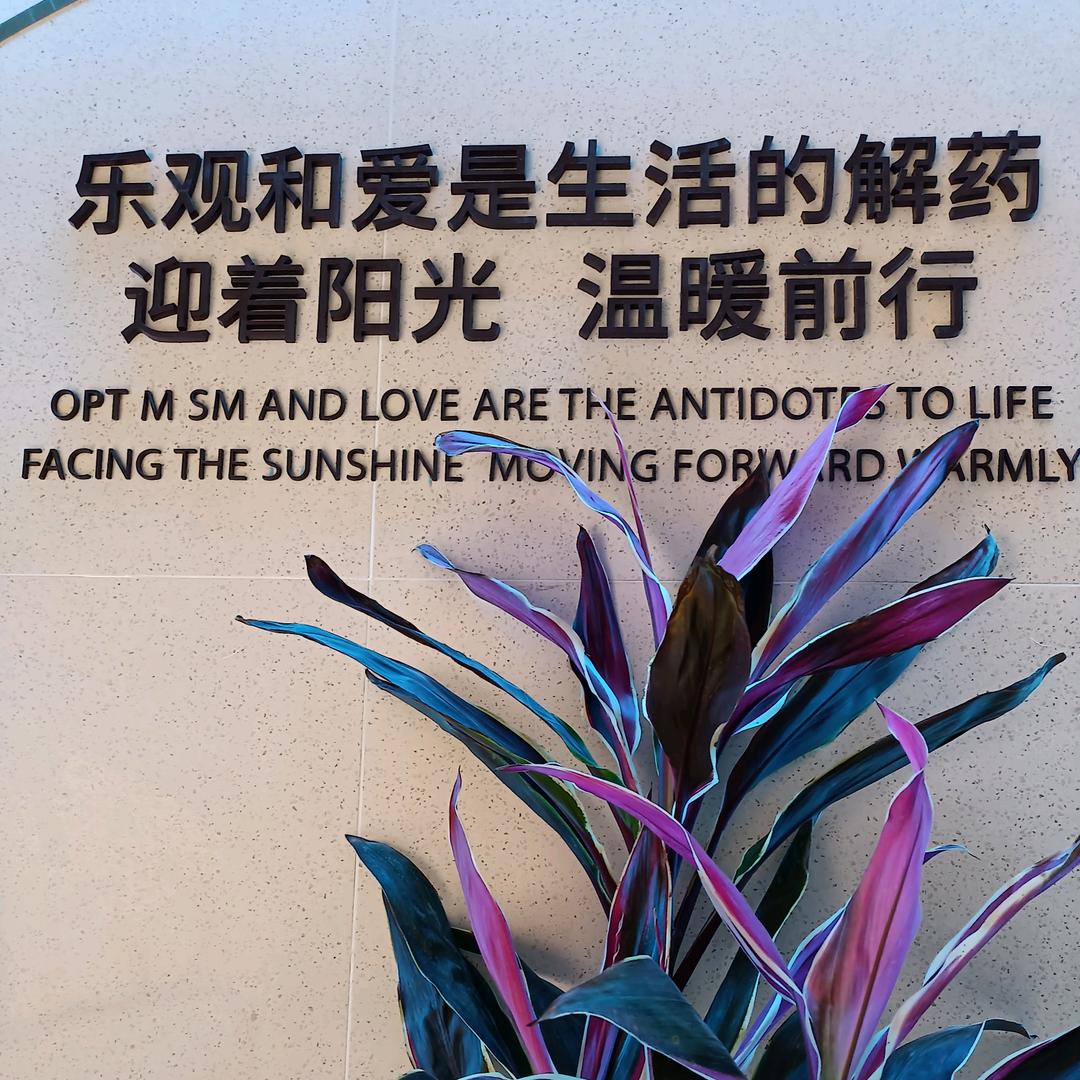 相见不如怀念💯