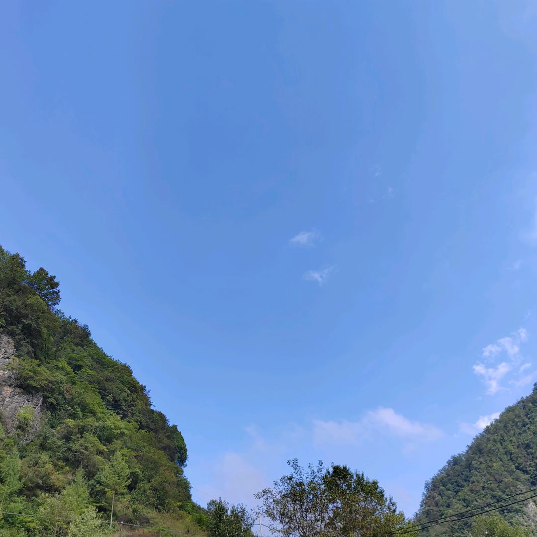 政骏