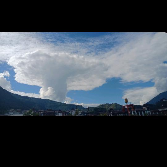 格( ﹡ˆoˆ﹡ )格