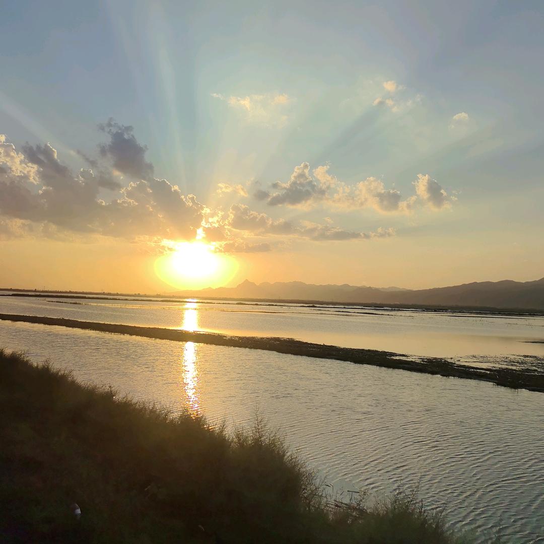 老吴（煤炭托盘贸易）