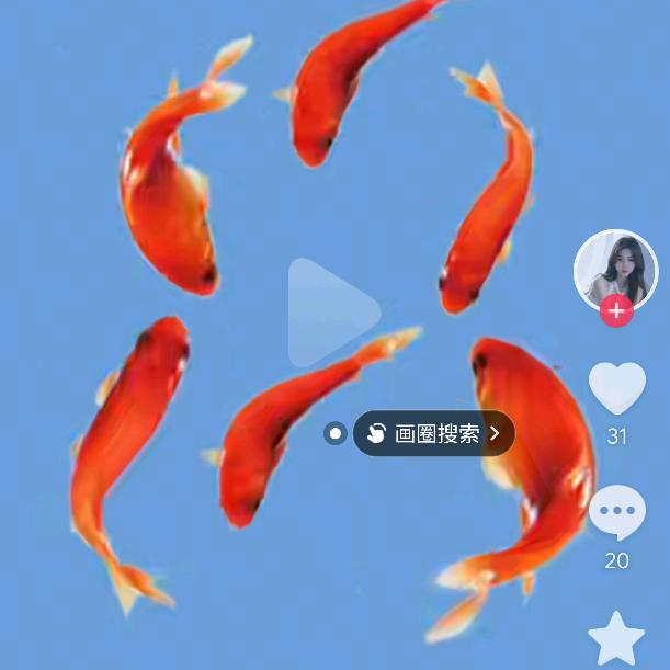 万家中介
