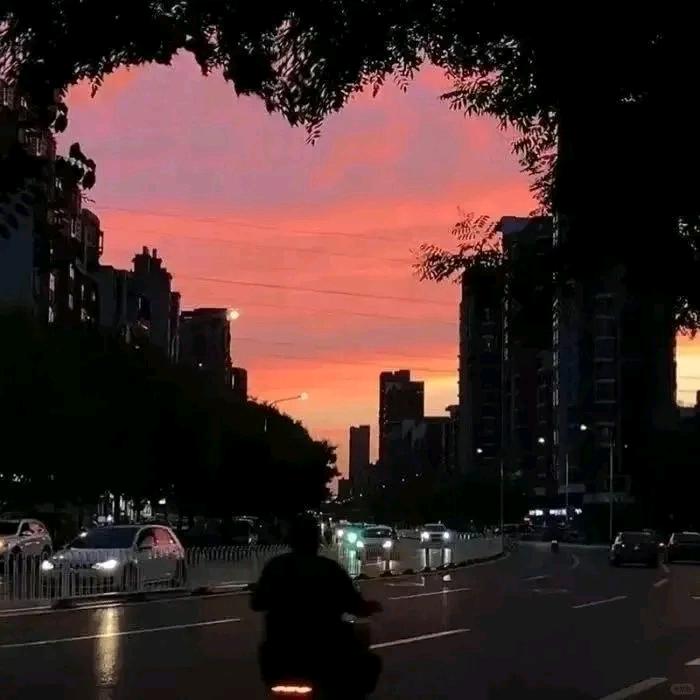 🌸꒰ঌ(˚早ᆺ早˚)໒꒱