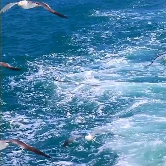 @那片天空那片海