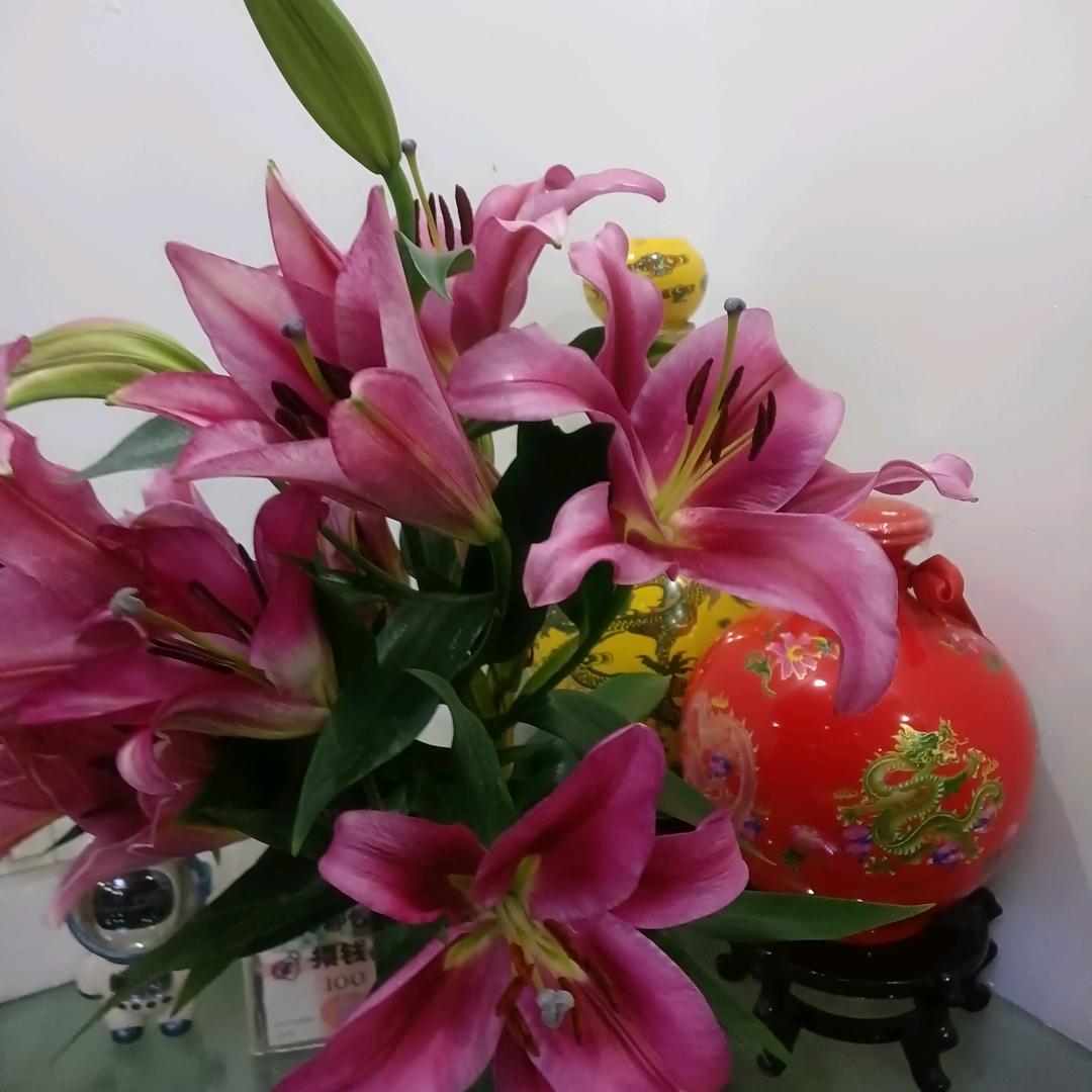 有你在，真好