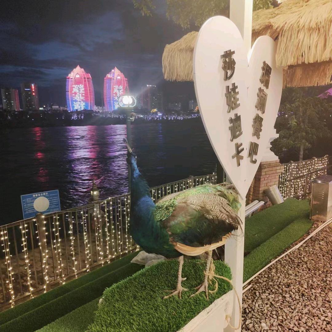 聚满缘茗居包吃住酒店式养老公寓