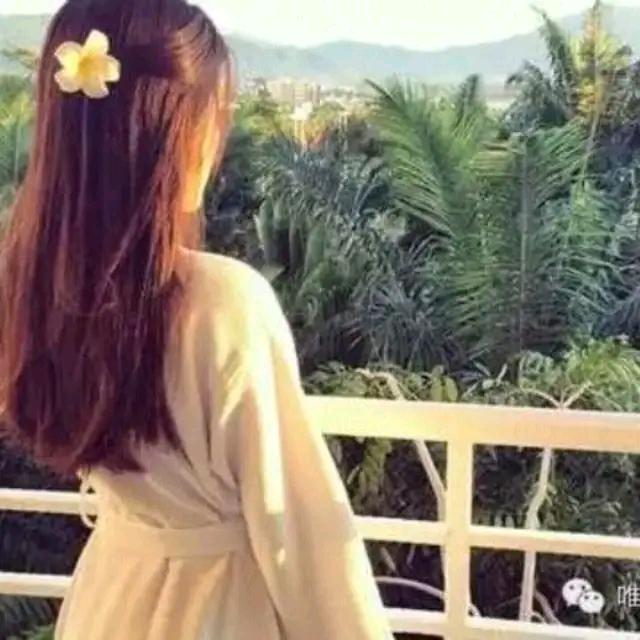 დ᭄℘礼꧔ꦿ宝꧔ꦿ℘