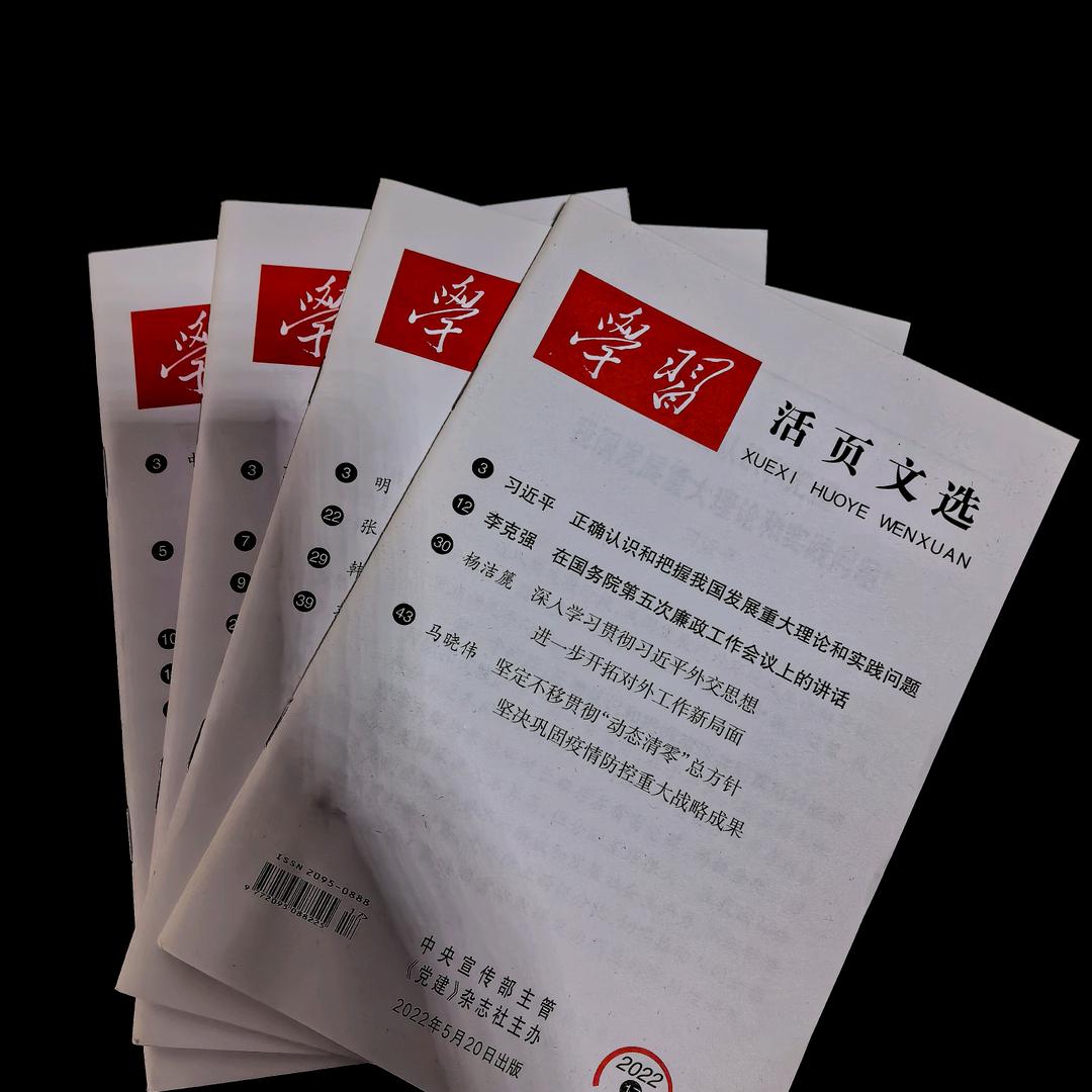 大拿文笔（可代）