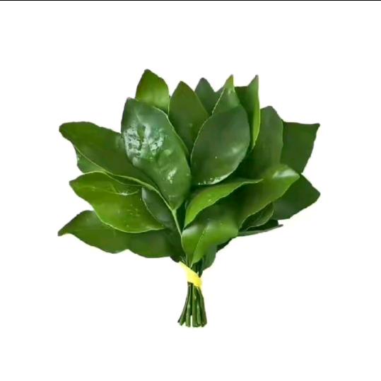 可露丽♥黑化中... ...