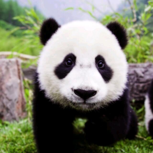 🌈好运来🐵