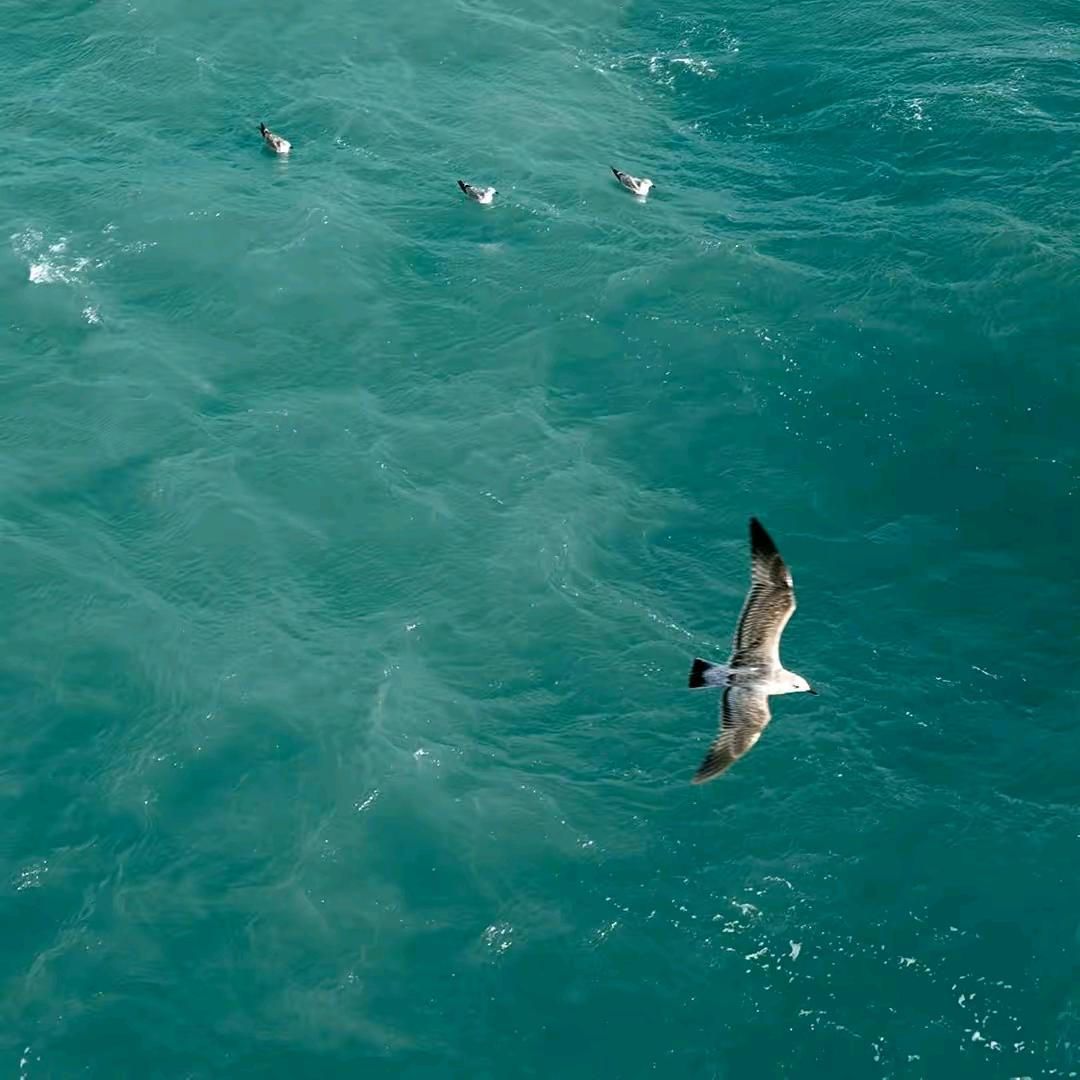 甘肃银实华沙公司(砂石料)