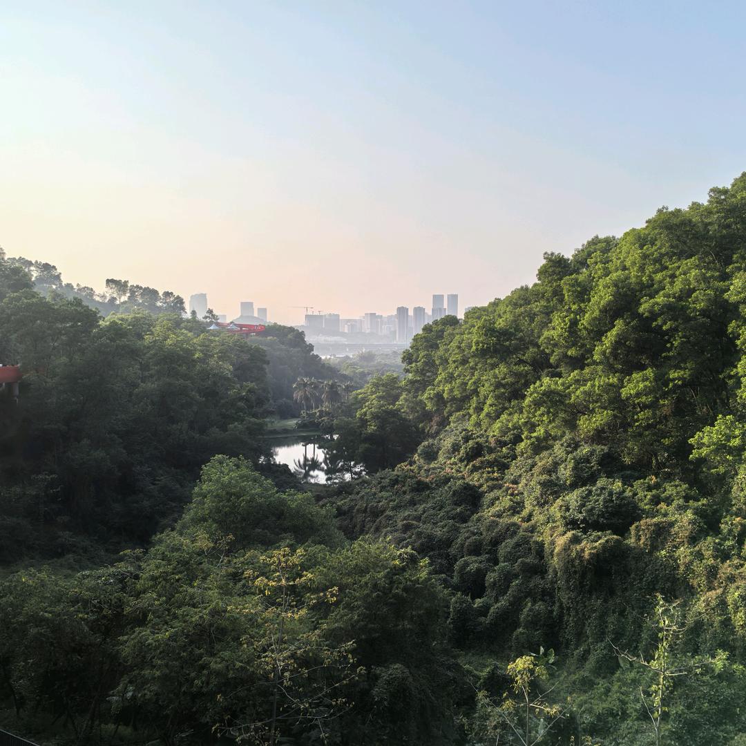 阳。