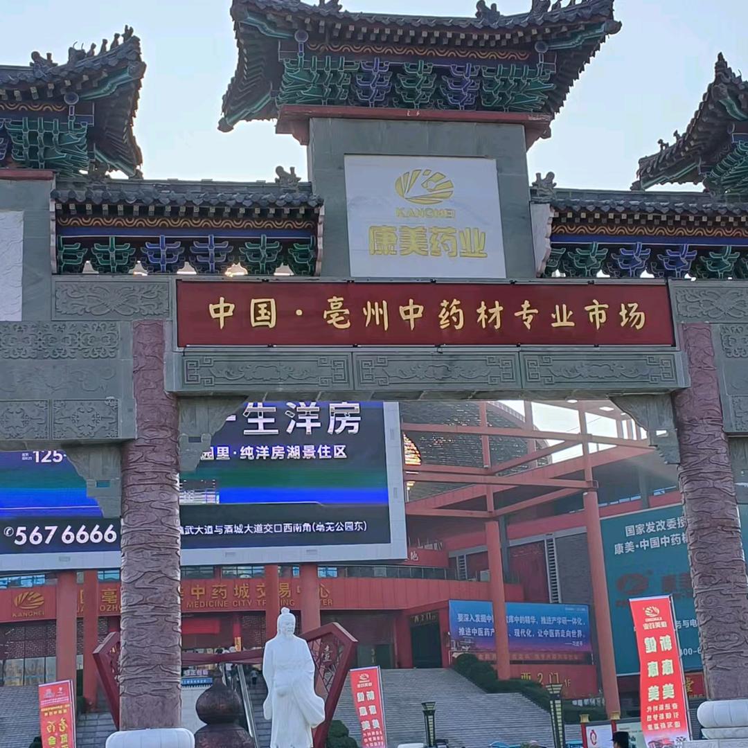 永好中药材种植