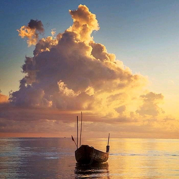 Love烟火人间○᷀