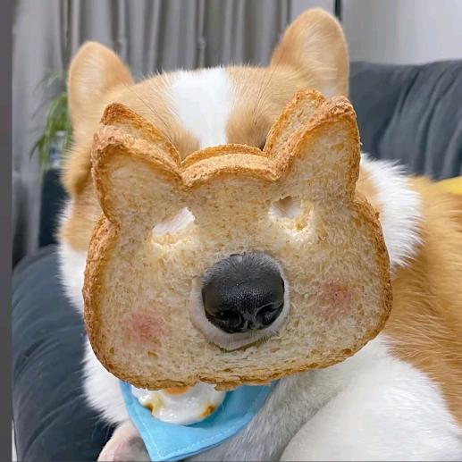 小薪