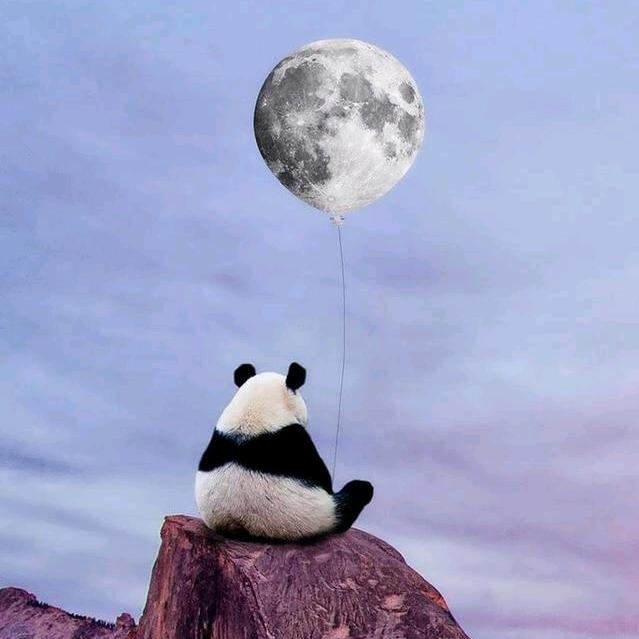 汐林
