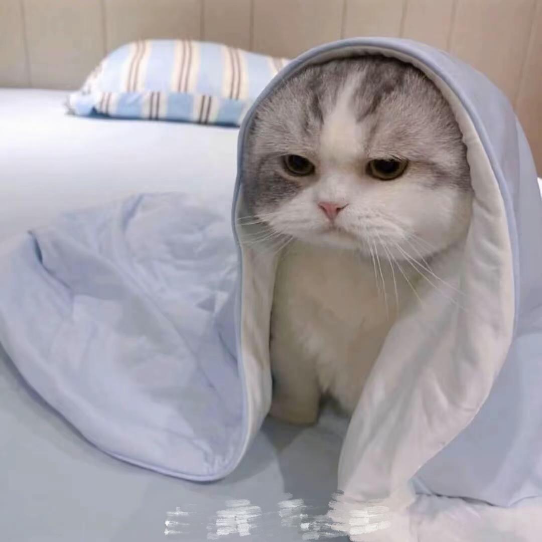 @今天练了吗