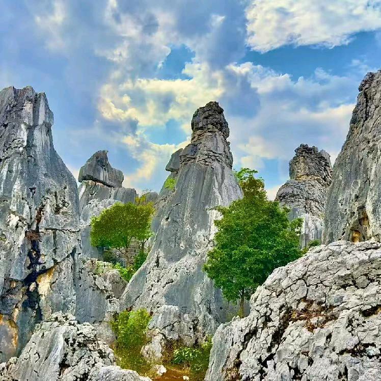 1.我也有撑不住的时候，我也想有人为我遮