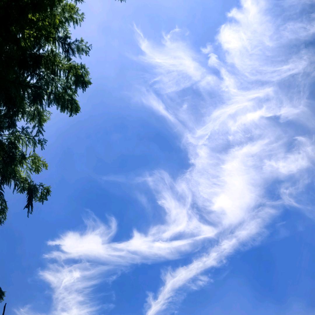 雨田