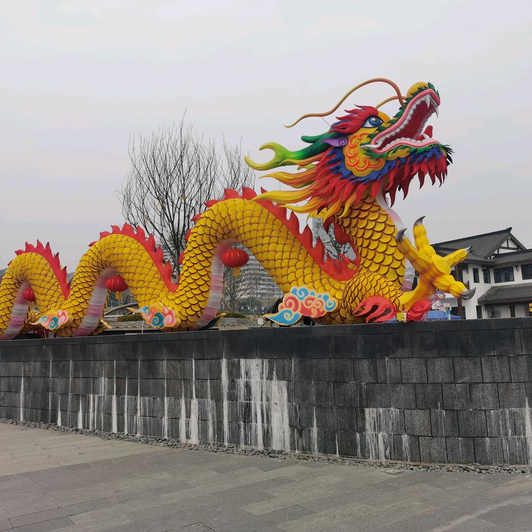 五哥