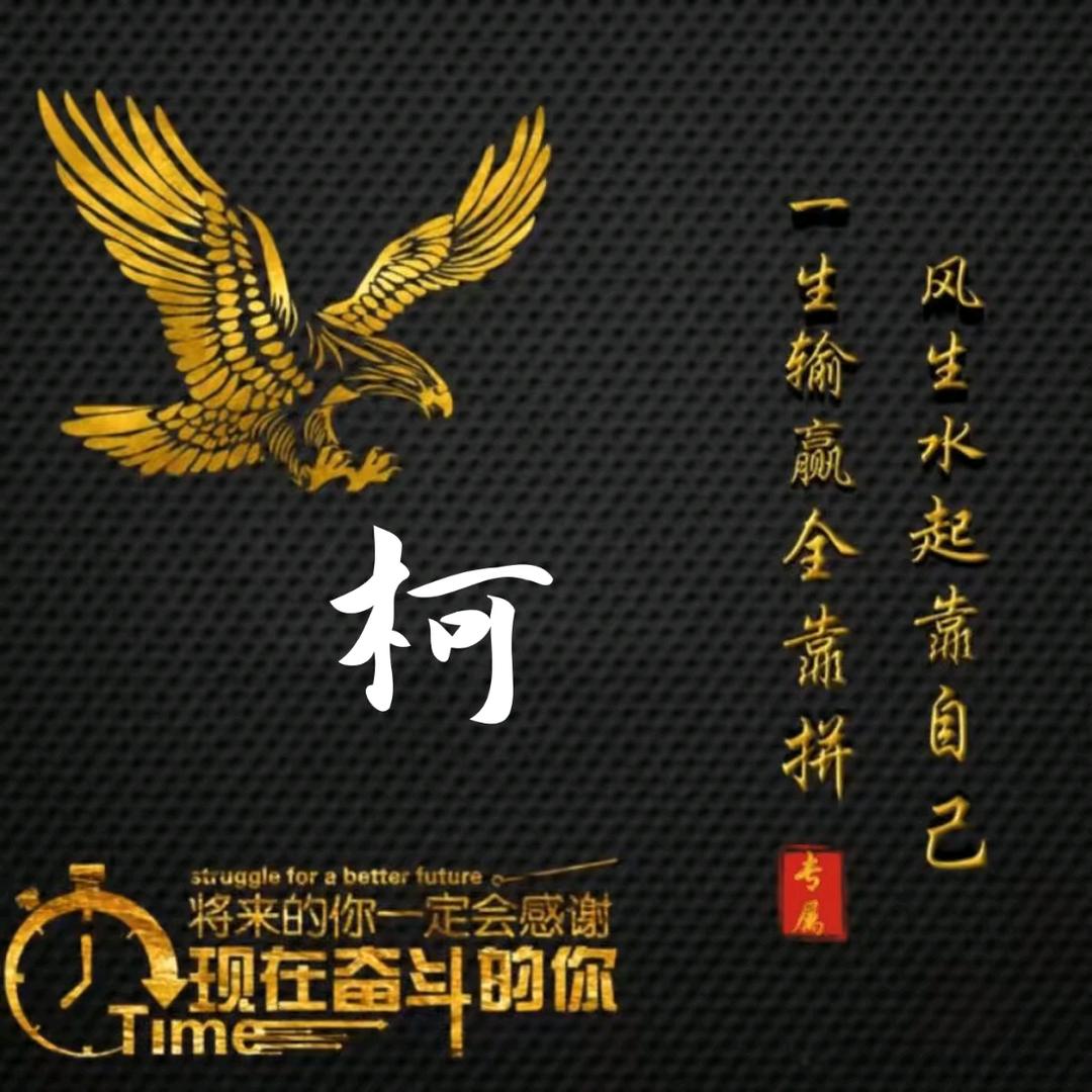 权哥，