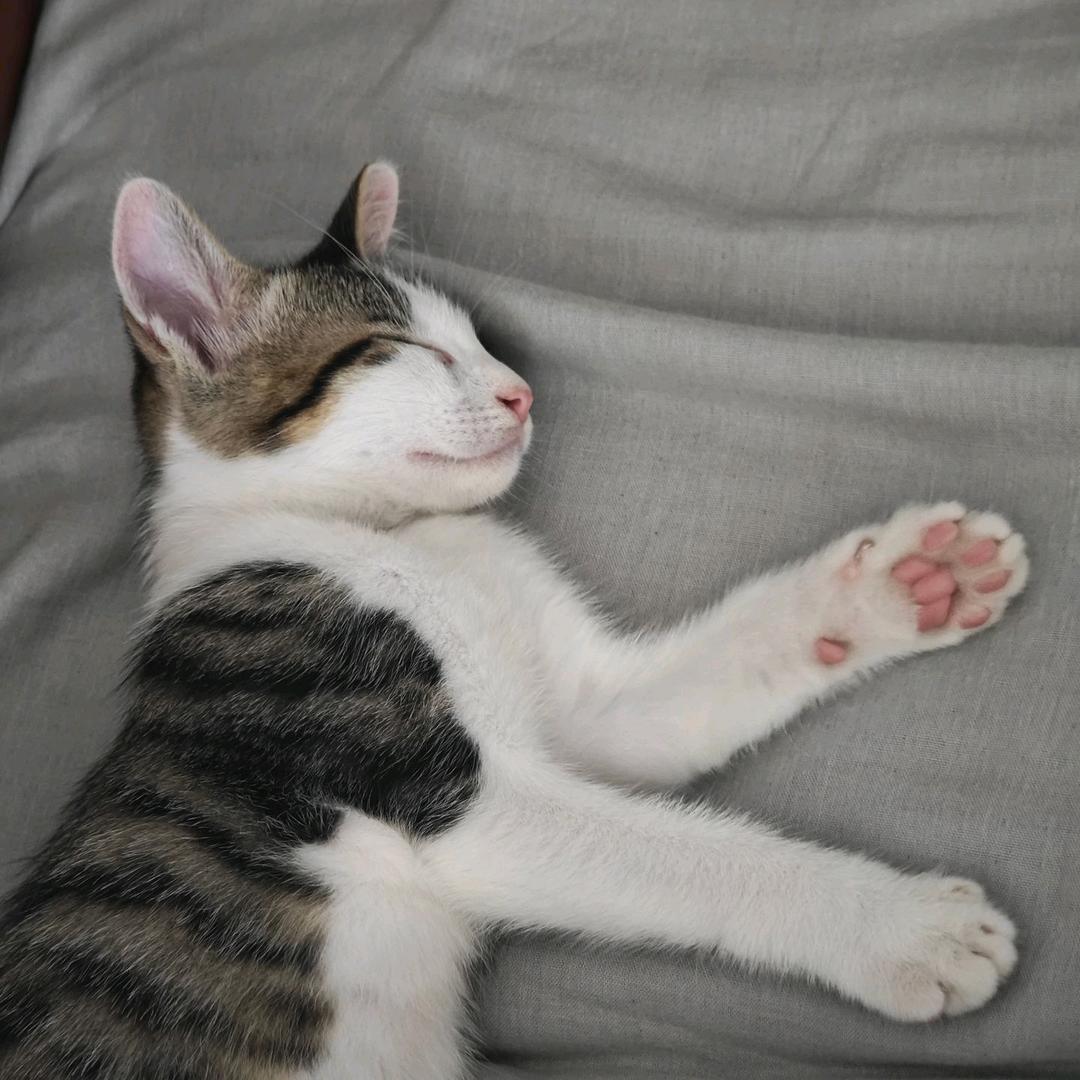 你的意妈他玩么的妈去什逼的