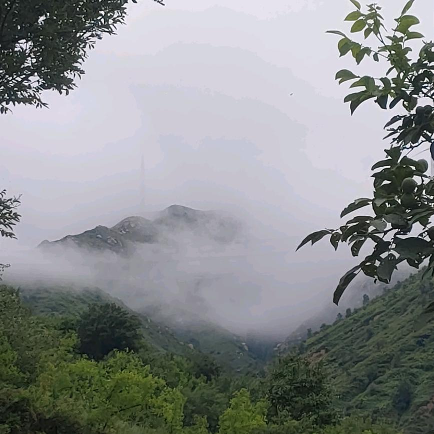 岁月凝香