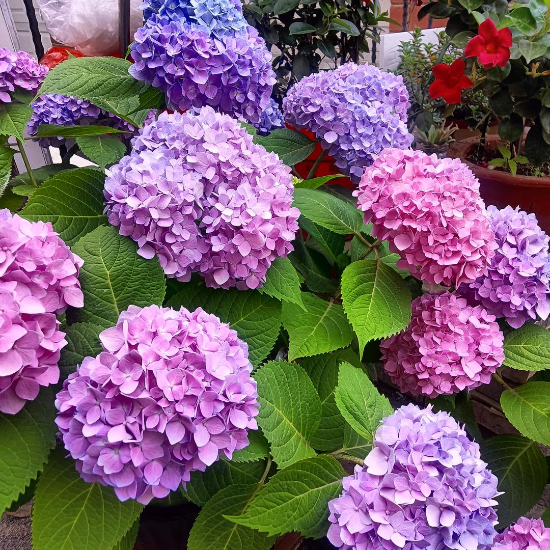 好运❤️连连❤️