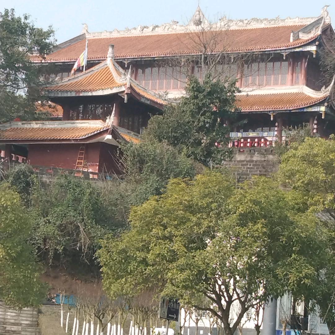 幸福一夏