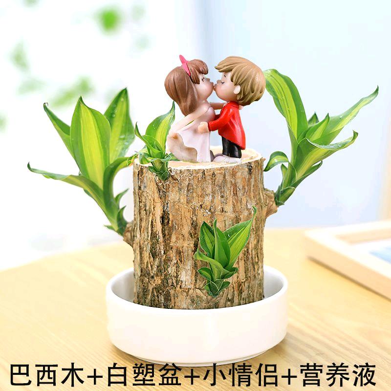 花好月圆(之夜)