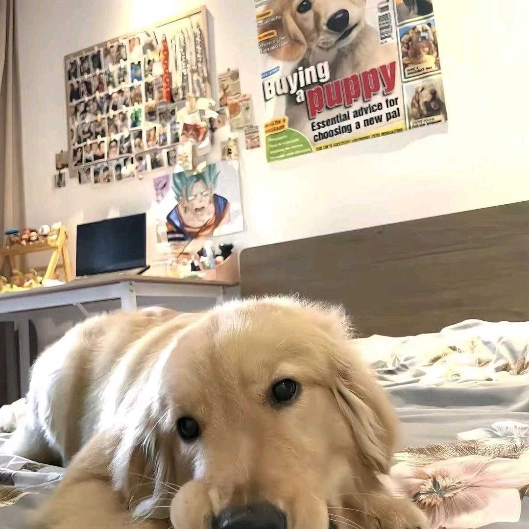 嘉平随和二十二