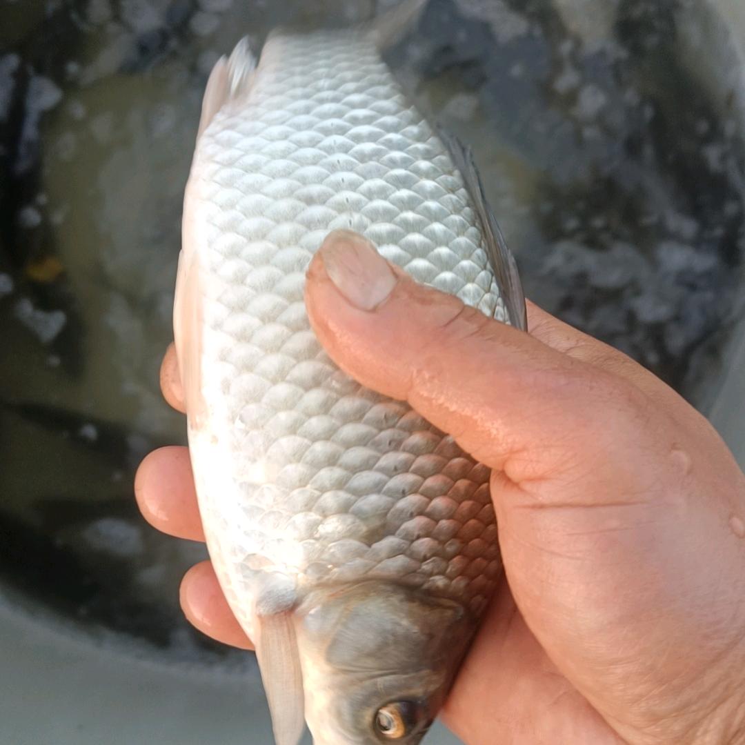 静静🤷♂️
